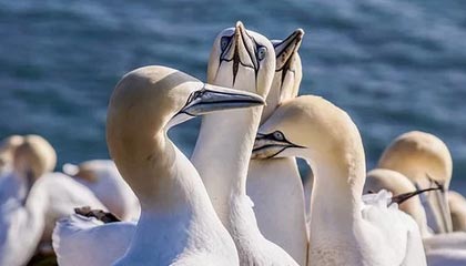 最新怎么提现公积金卡里的钱方法分析(最方便真实的怎么将公积金提现方法)